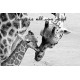Kärleksfull giraffmamma